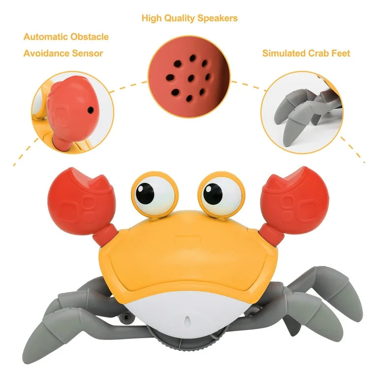 Crawling Crab Toy