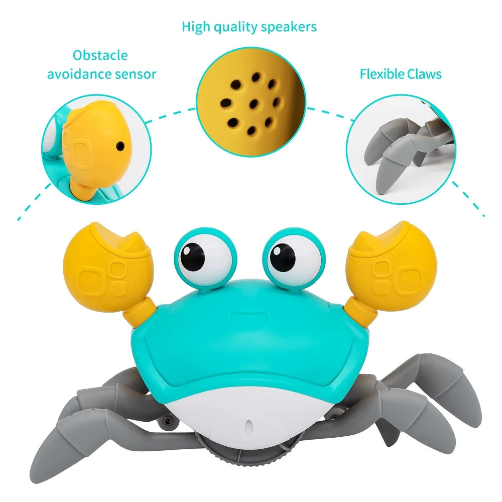 Crawling Crab Toy