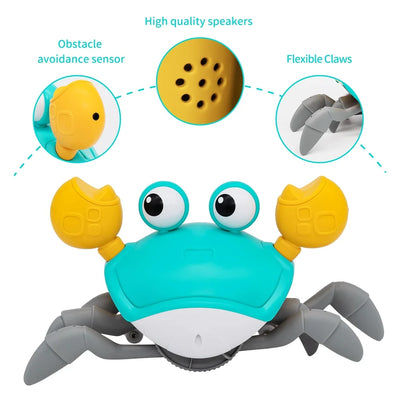 Crawling Crab Toy