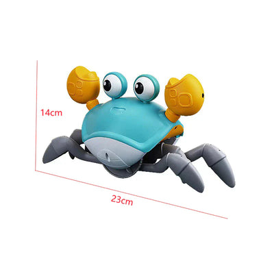 Crawling Crab Toy